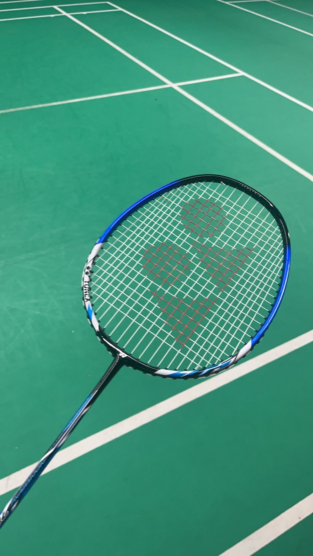 出了一项特 出了一项特